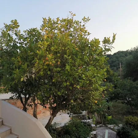 Σπίτι διακοπών Perithia Cottage